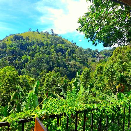 إيلا Ever Green Mount المظهر الخارجي الصورة