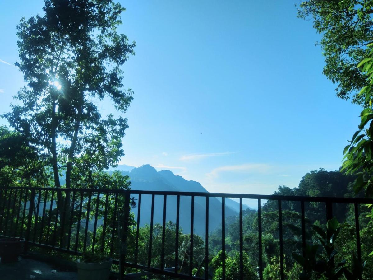إيلا Ever Green Mount المظهر الخارجي الصورة
