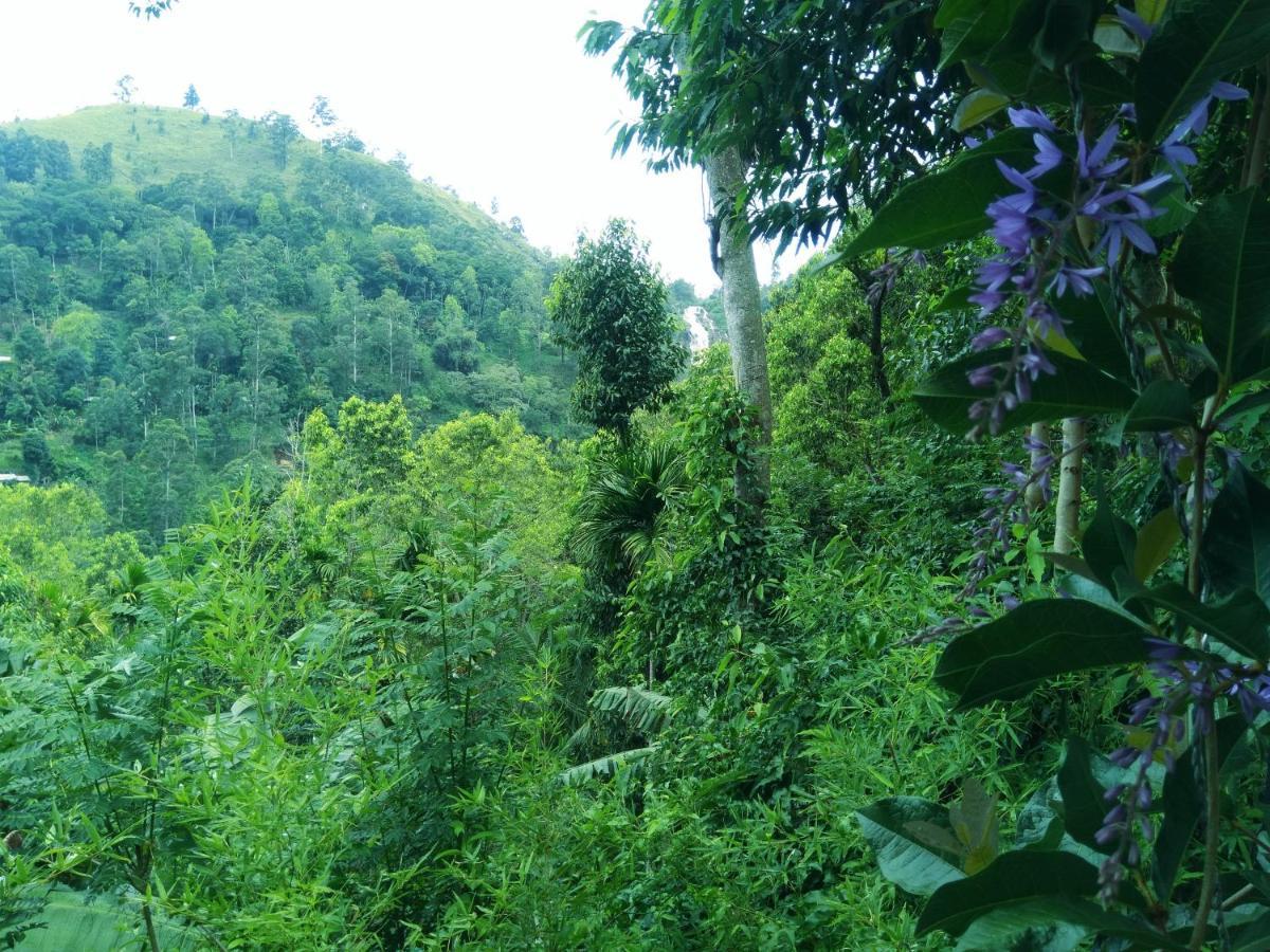 إيلا Ever Green Mount المظهر الخارجي الصورة