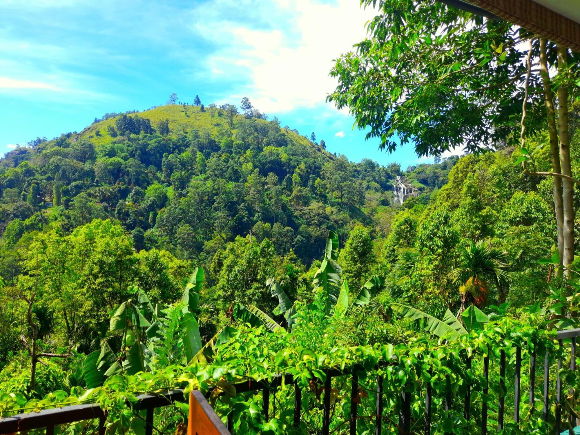 إيلا Ever Green Mount المظهر الخارجي الصورة