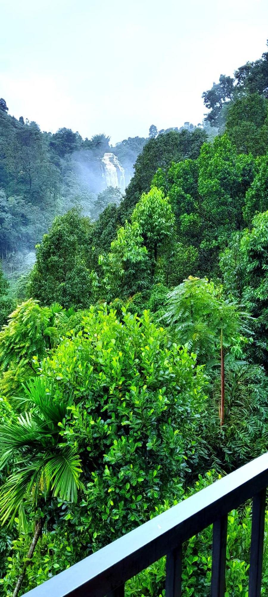 إيلا Ever Green Mount المظهر الخارجي الصورة