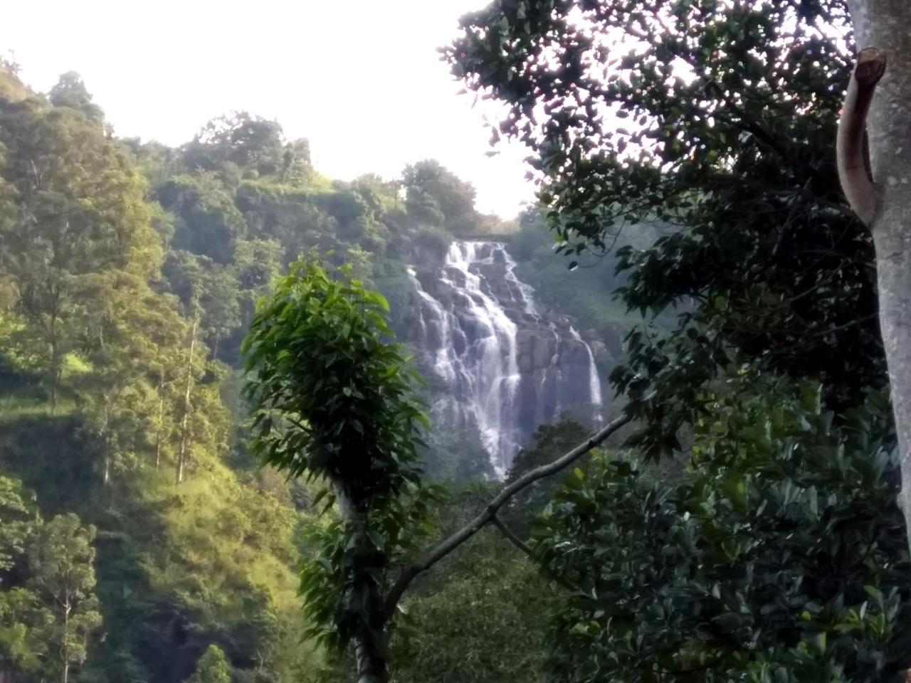 إيلا Ever Green Mount المظهر الخارجي الصورة