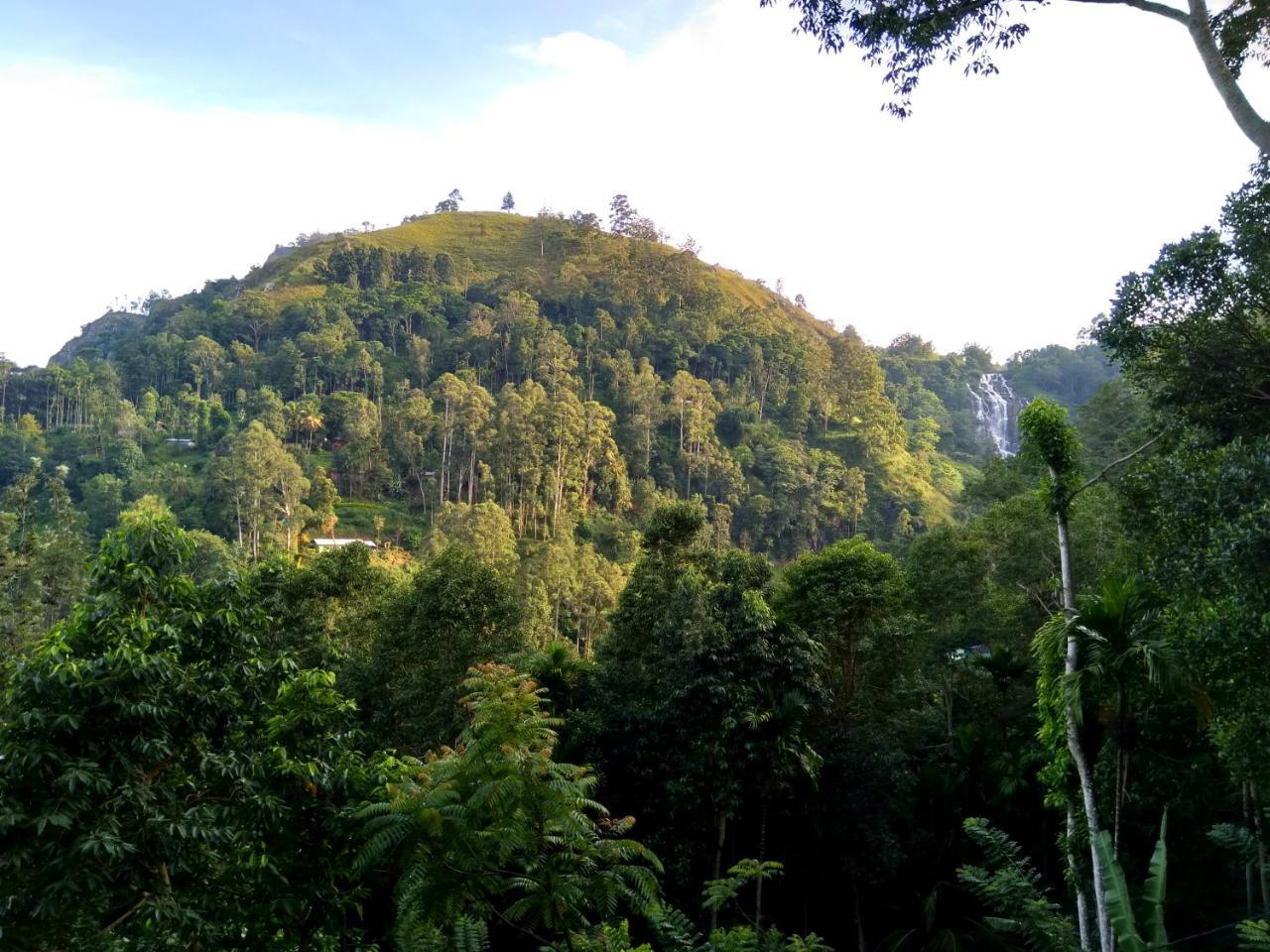 إيلا Ever Green Mount المظهر الخارجي الصورة