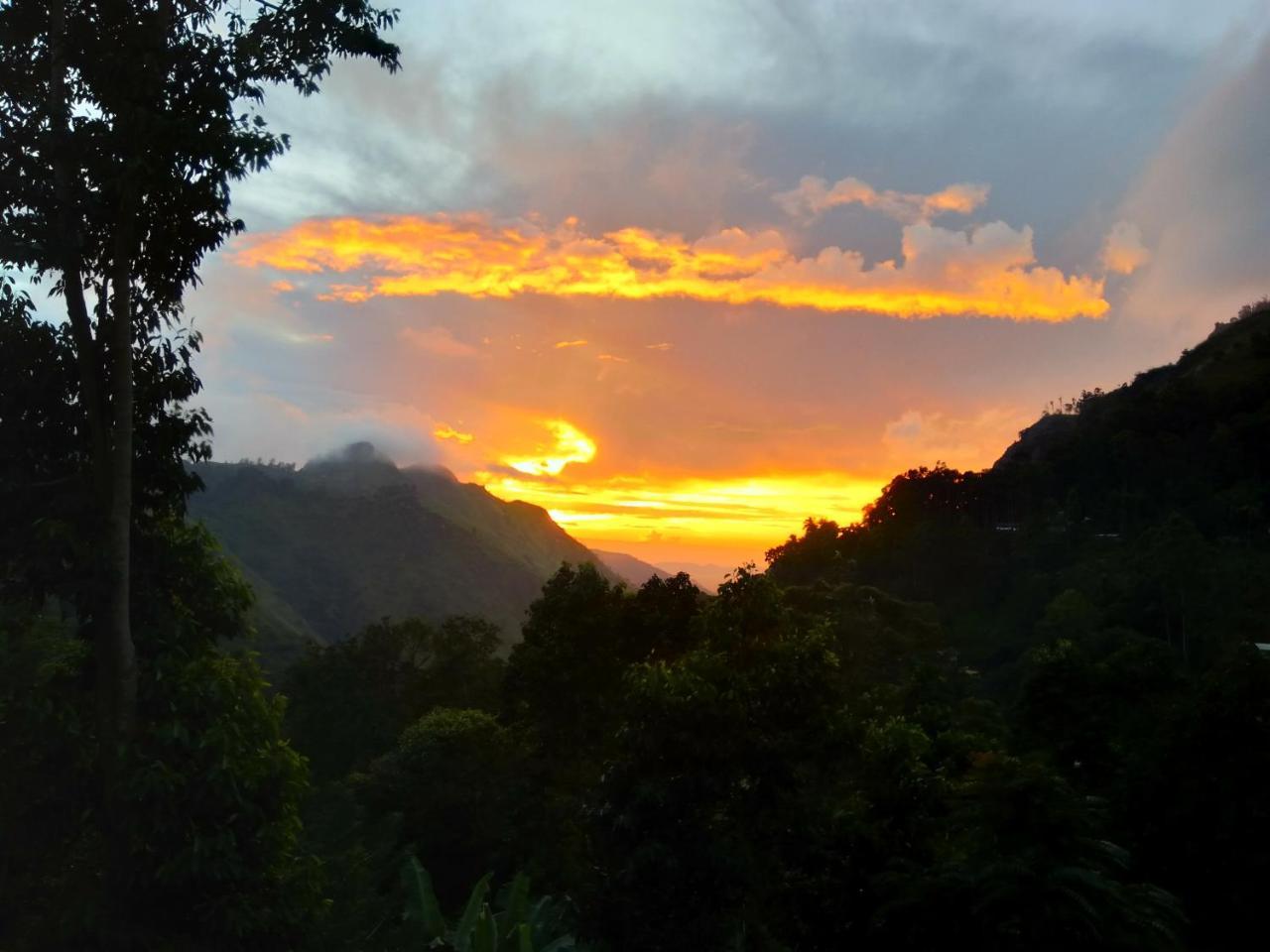 إيلا Ever Green Mount المظهر الخارجي الصورة