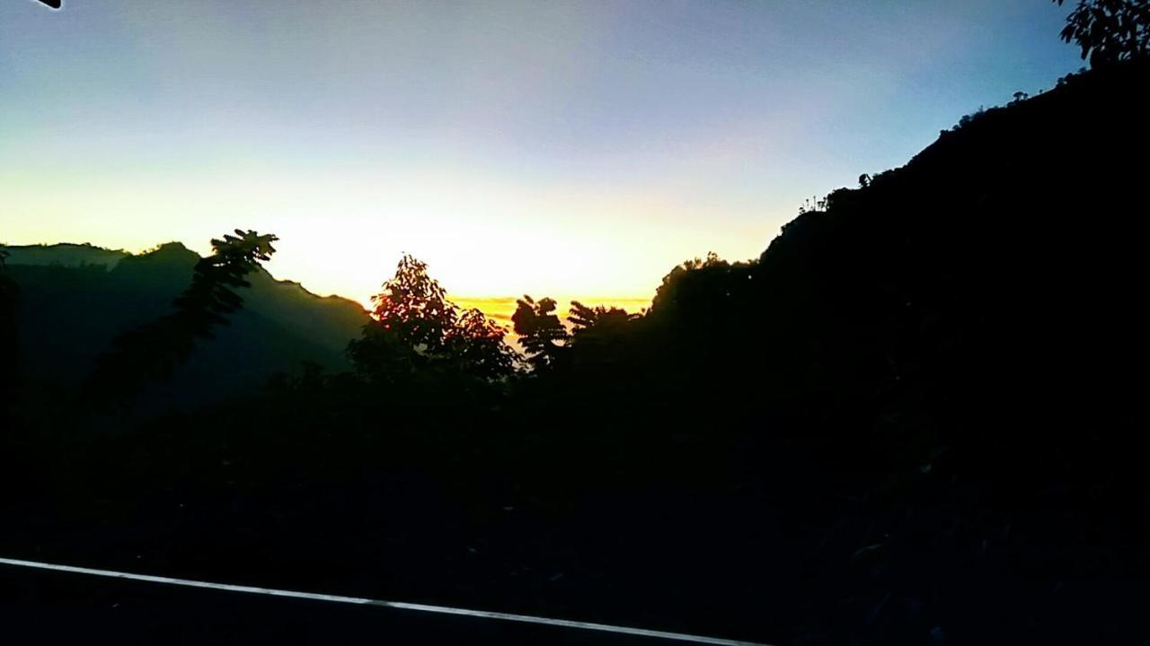 إيلا Ever Green Mount المظهر الخارجي الصورة